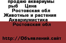 продаю аквариумы, рыб  › Цена ­ 10-100 - Ростовская обл. Животные и растения » Аквариумистика   . Ростовская обл.